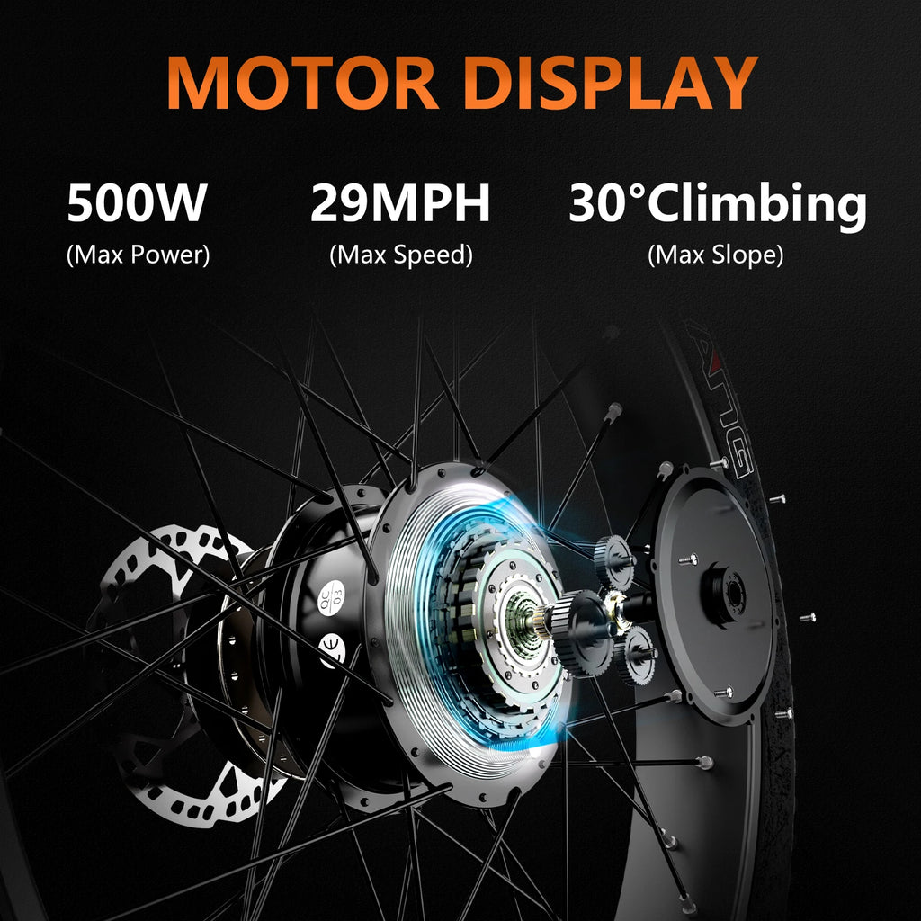 Wholesale 3 Hydraulic Brake 24x3.0 Inch Fat Tire 500W 750W Cargo Trike Long Range Tricycle 15AH Full Accessories Cargo Pets Kids
