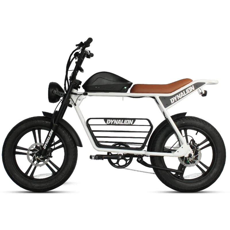 Electric Bike 20 Inch Ebike Fat Tire E-Bike Dirt Bike Electric Mountain Bike for Sale