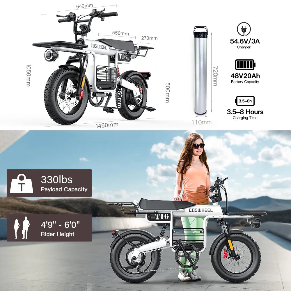 US EU Warehouse Stock COSWHEEL T16 Fat Tire Full Suspension 48V 750W 1000W Fat Vintage E Bike Retro Female Electric City Bike