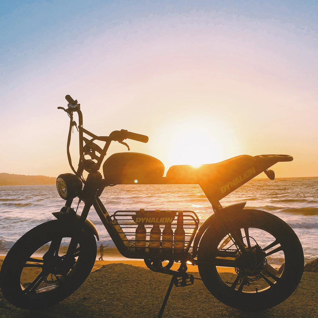 Electric Bike 20 Inch Ebike Fat Tire E-Bike Dirt Bike Electric Mountain Bike for Sale