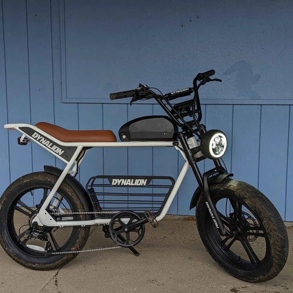 Electric Bike 20 Inch Ebike Fat Tire E-Bike Dirt Bike Electric Mountain Bike for Sale