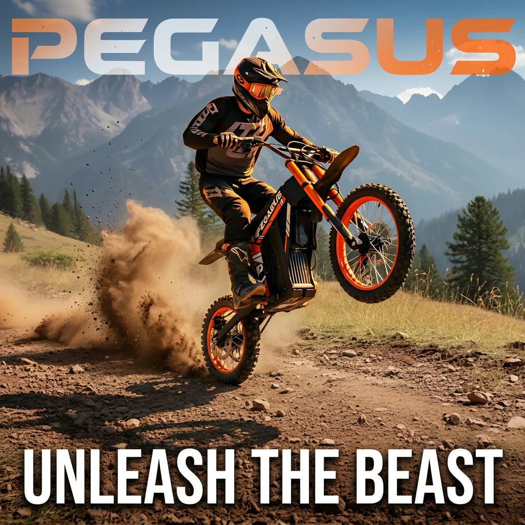 Factory Wholesale Low MOQ 48V 2000W Adult Orange Electric Dirt Bike Off-Road