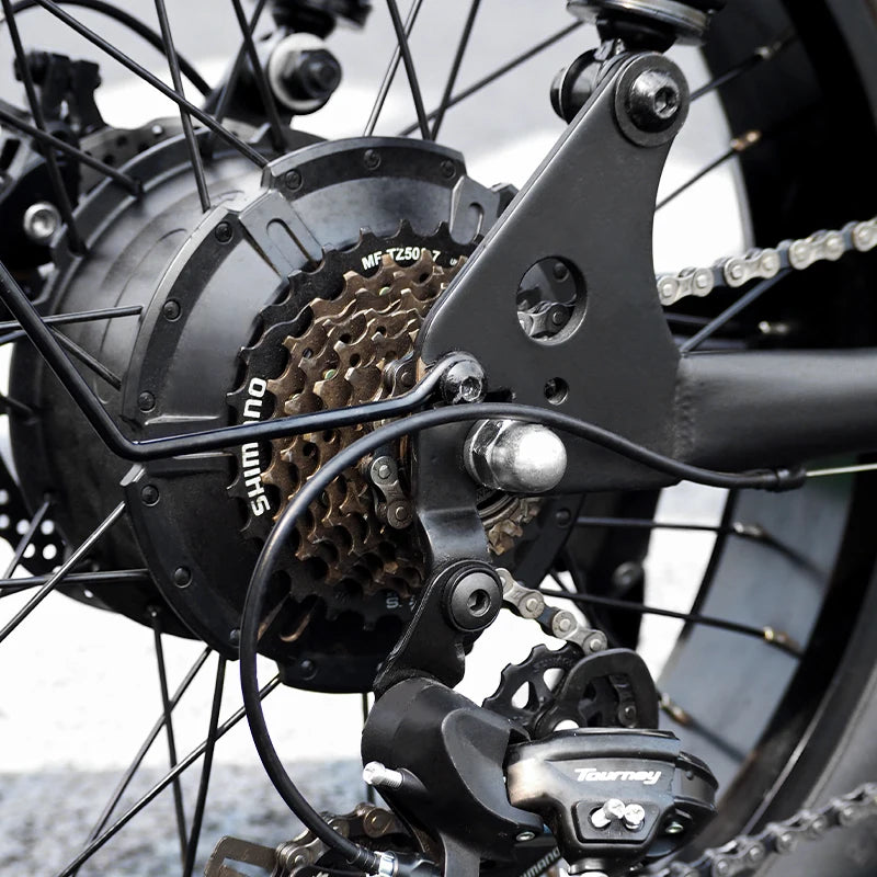 US/EU Free Shipping Electric Bikes Hydraulic Disc Brake 1000W E Bike Mountain Electric Bikes for Adults