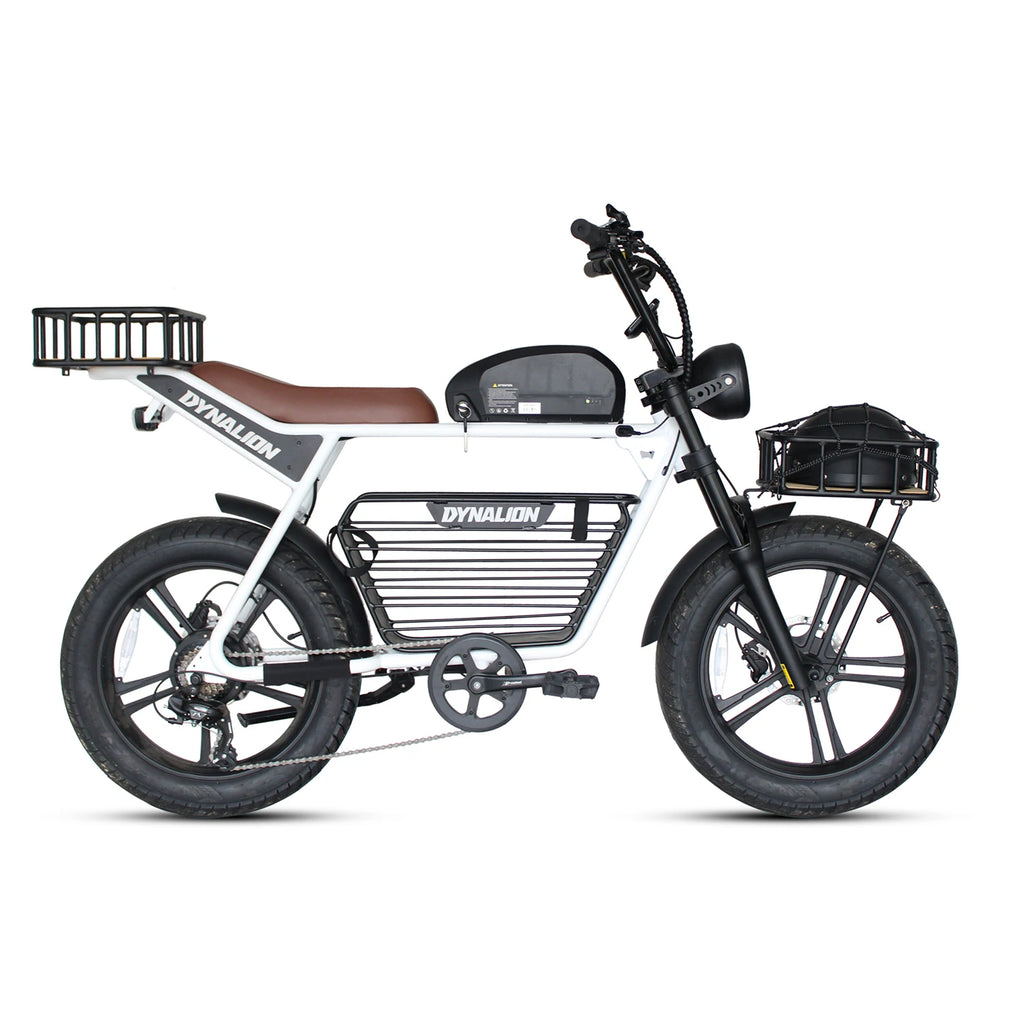 Electric Bike 20 Inch Ebike Fat Tire E-Bike Dirt Bike Electric Mountain Bike for Sale