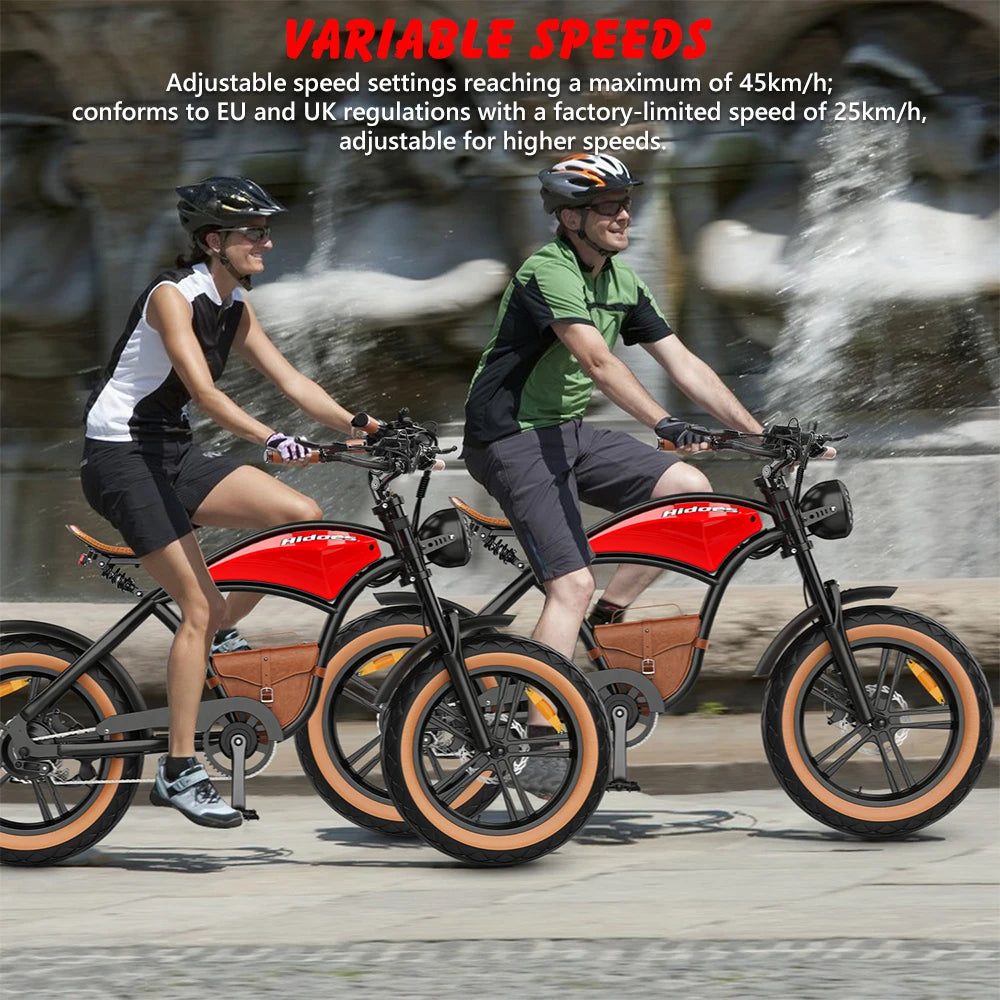 Electric Mountain Bike Hidoes B10 48V 1000W Motor 13ah Battery Long Range Fat Tire E Bike Electric Bicycle E City Ebike
