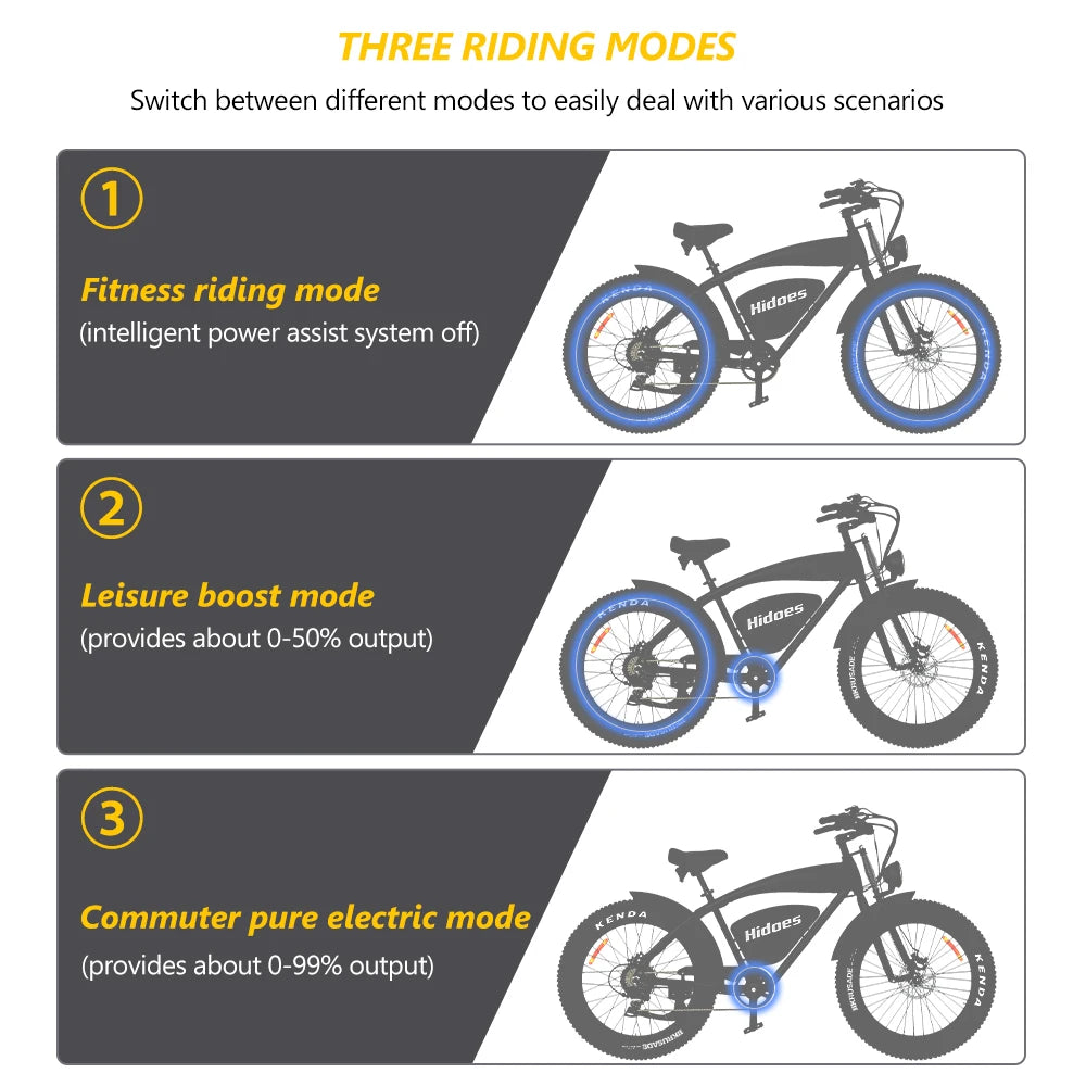 US Europe Warehouse Delivery Cheap Fast Speed Hidoes B3 Bike 1200W 48V 2 Wheels Off Road Electric Bicycle Adult Electric Bike