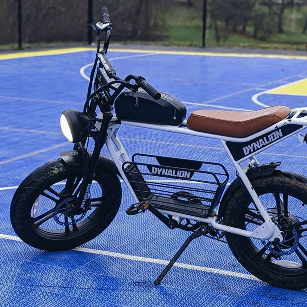 Electric Bike 20 Inch Ebike Fat Tire E-Bike Dirt Bike Electric Mountain Bike for Sale