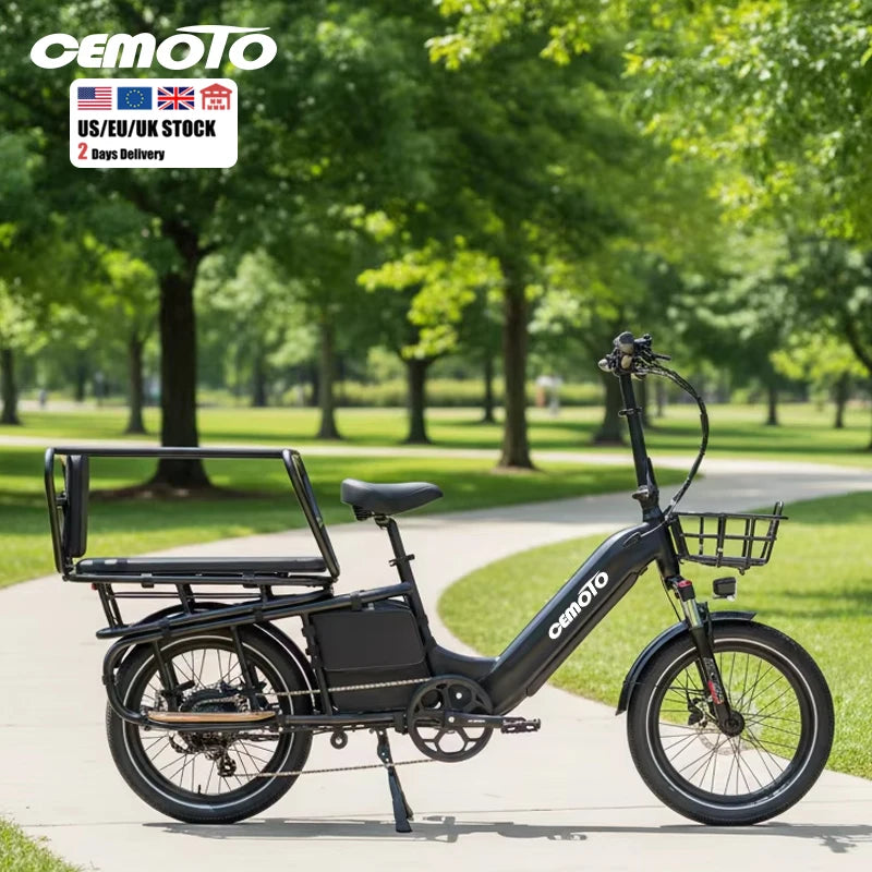 Us in Stock Reliable 48V20AH Electric Bicycle Motor Light WeightBattery Cargo Rear Carrier and LED Lighting