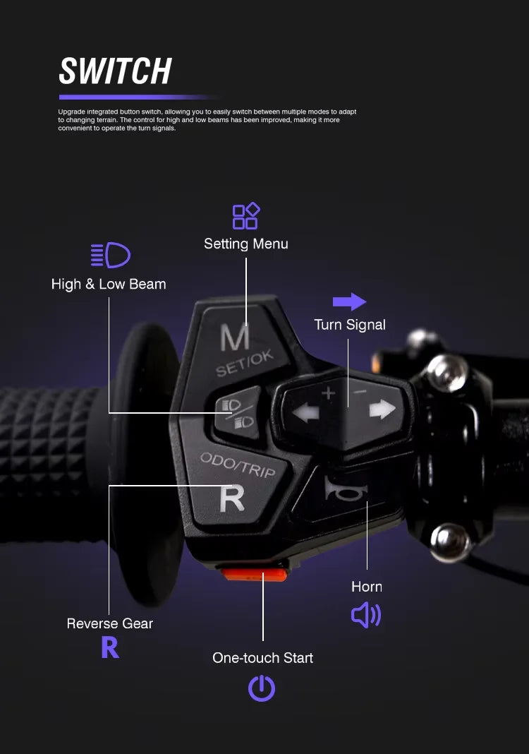 2025 New Electric Dirt Bike 72V 10Kw Middrive 79bike Falcon Pro Electric Motorbike Full Suspension Powerful 85KM/H Enduro Ebike